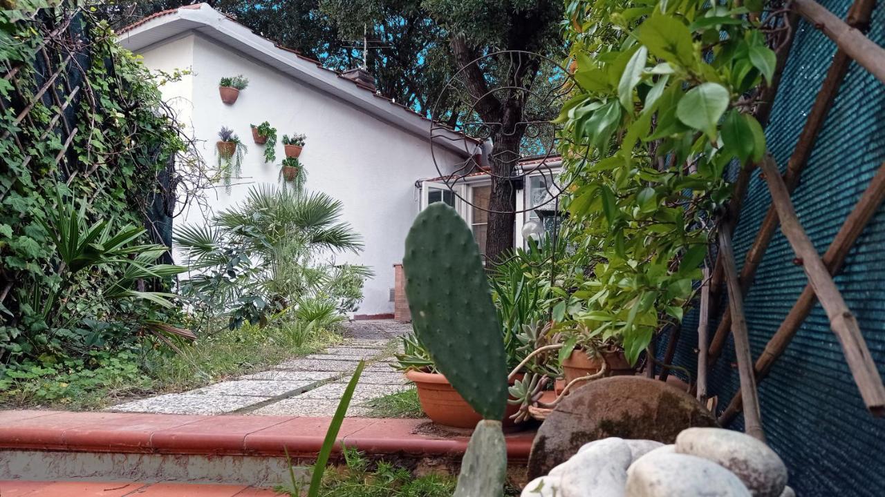 Villetta La Gabbianella Ливорно Экстерьер фото